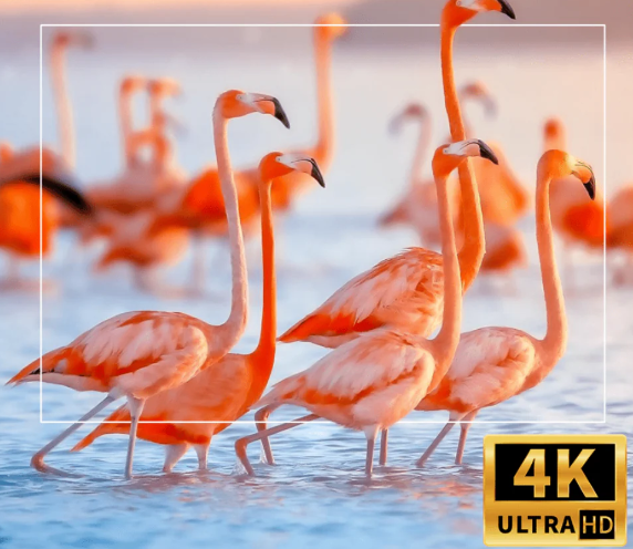 Projetor de Cinema Portátil 4K